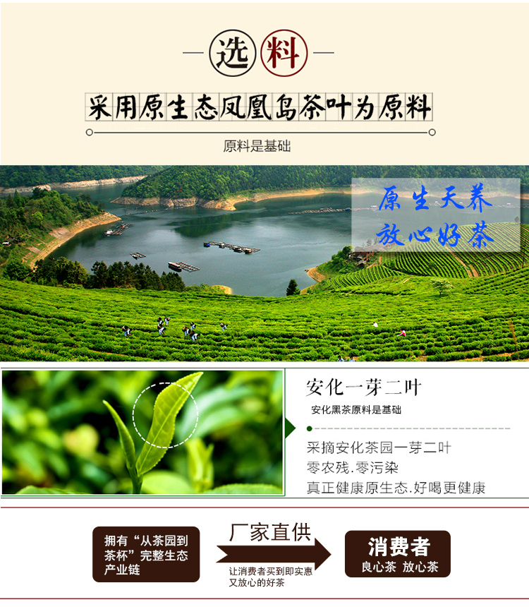 shengtaiheicha_04
