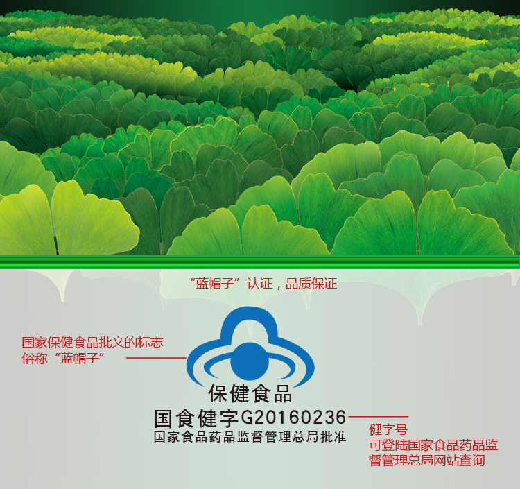 蜂膠銀杏_03