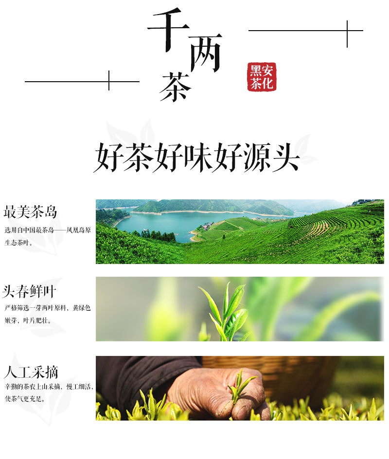 千兩茶_04